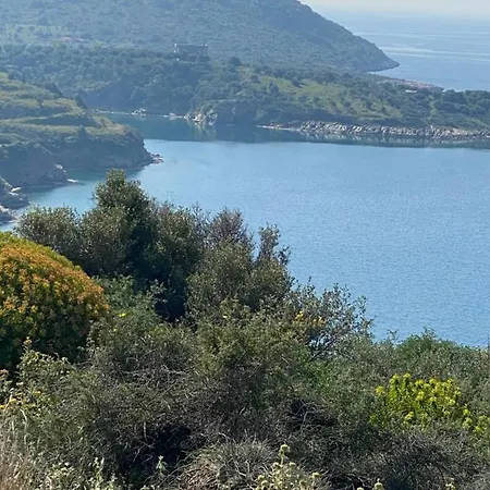 Seaview And Olives Panorama Joyanna In Mani 빌라 Kalivia (Laconia)